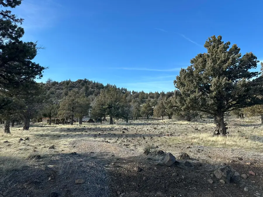 9-2/104 Shoreline Drive, Weed, CA 96094 - #3