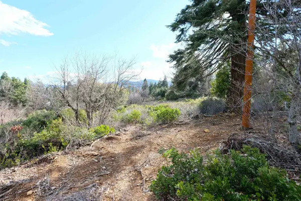Lot 16 Matthew Ct, Mt Shasta, CA 96067
