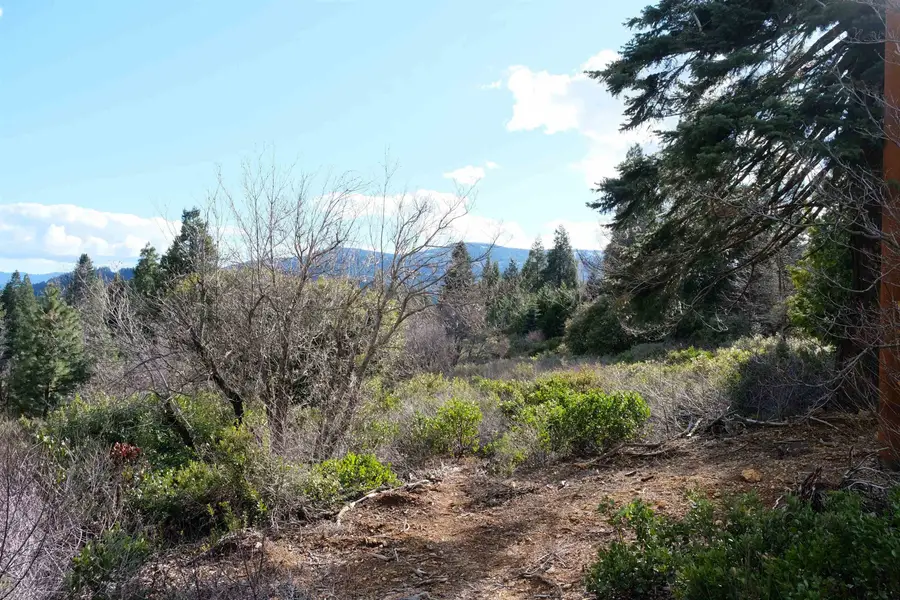 Lot 16 Matthew Ct, Mount Shasta, CA 96067 - #2