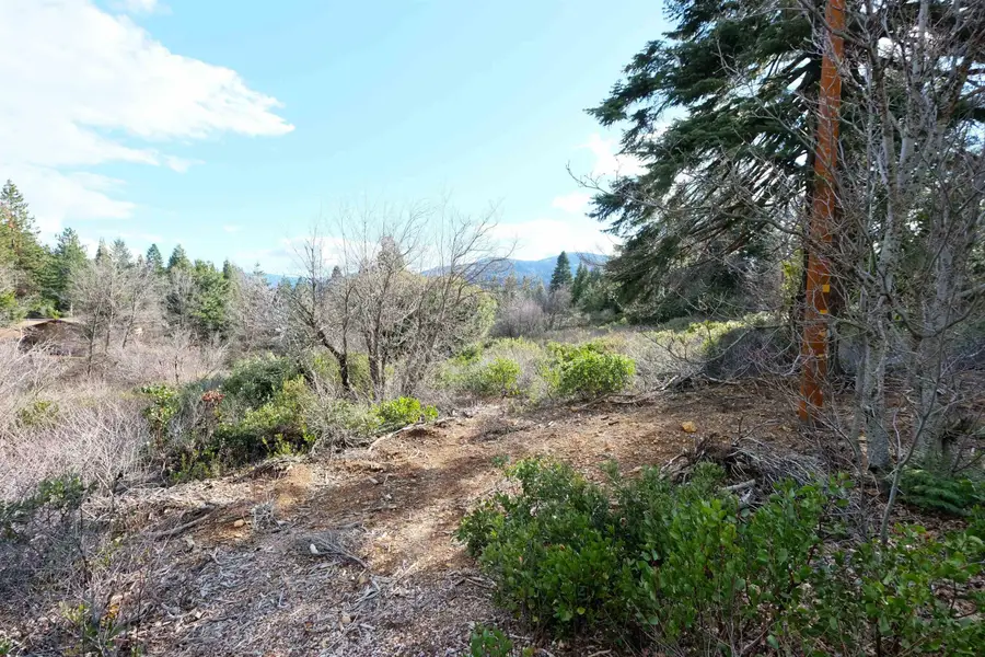 Lot 16 Matthew Ct, Mount Shasta, CA 96067 - #3