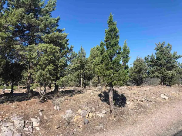 9-2/63 Stonecrest Dr., Weed, CA 96094