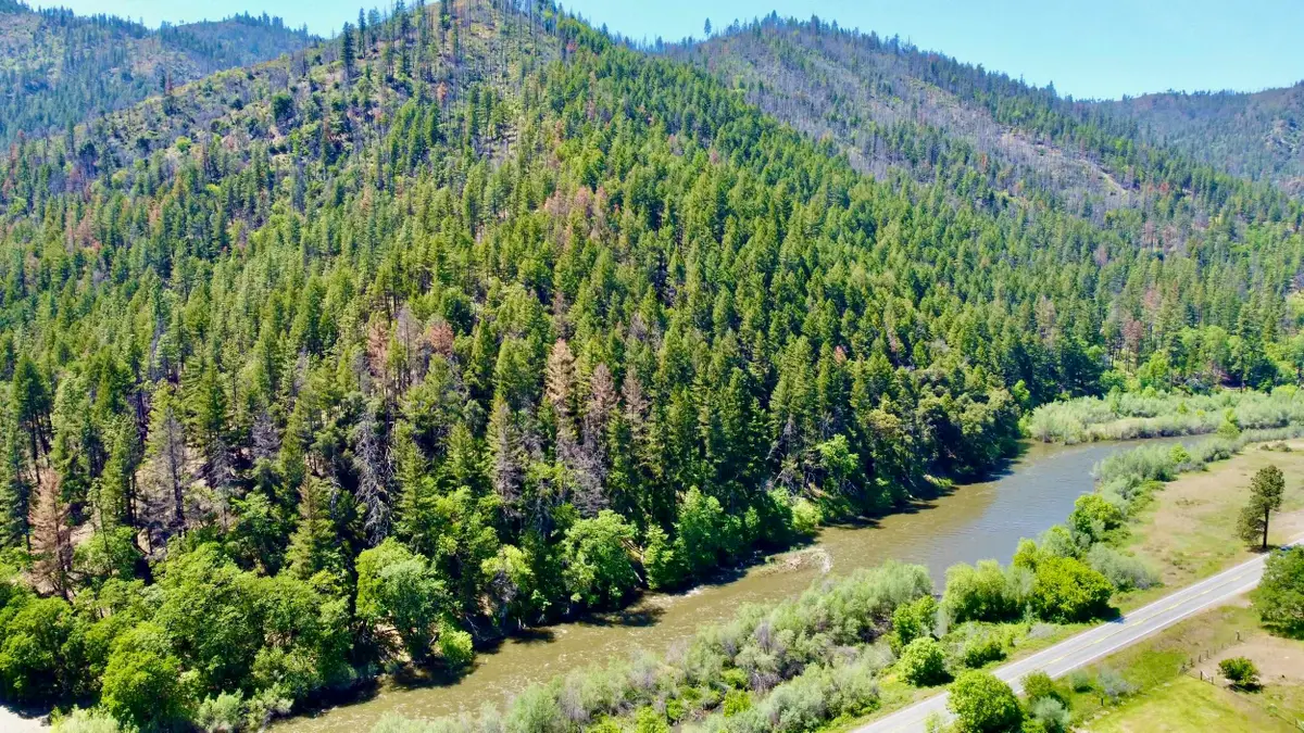 Lot 71 & 30 Highway 96, Horse Creek, CA 96050 - #1