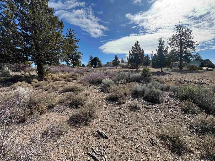 Unit 7-2 Lot 169 Fox Ct, Weed, CA 96094 - #2