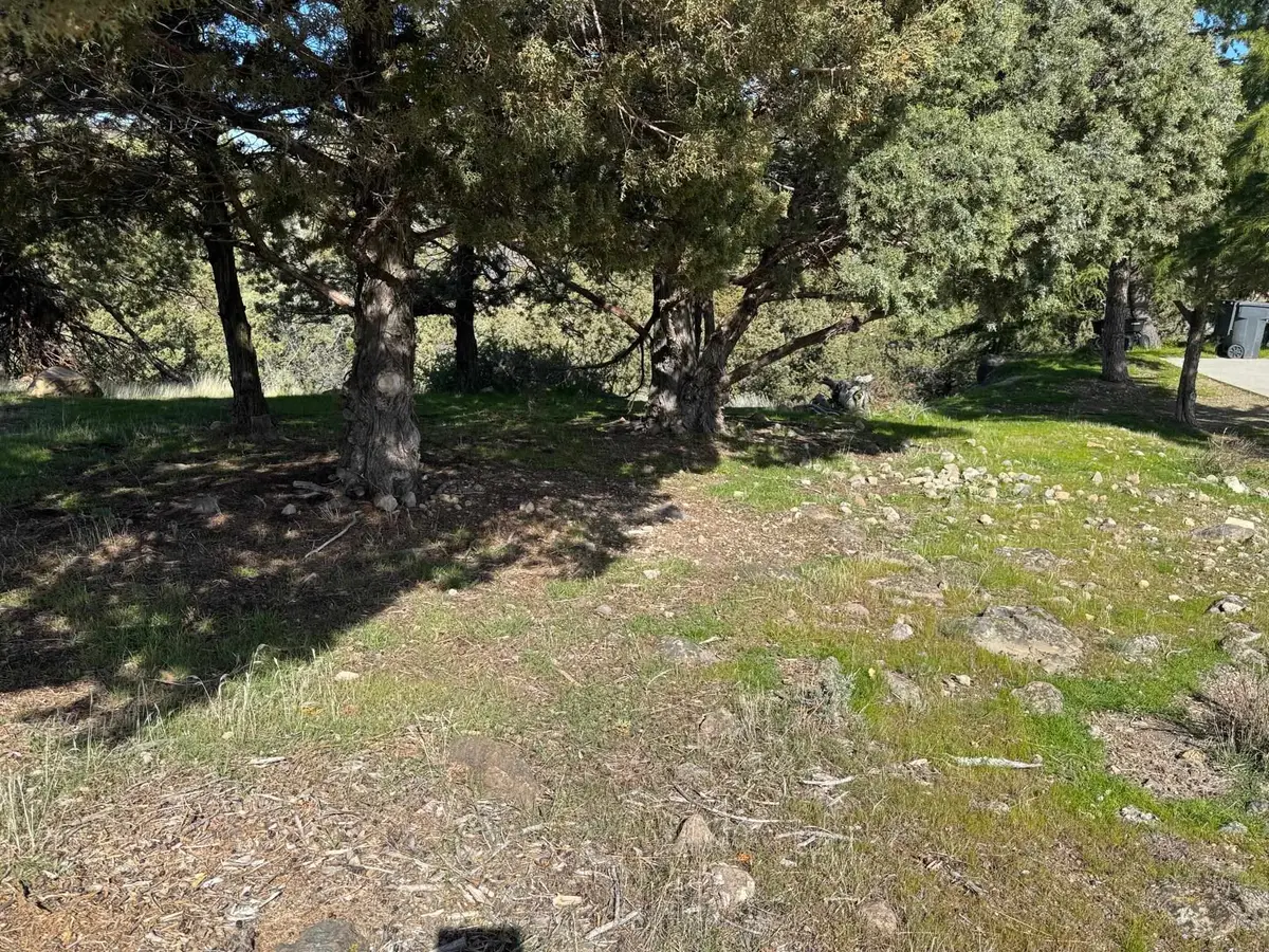 Unit 9-2Lot 137 Elk Ridge, Weed, CA 96094 - #1