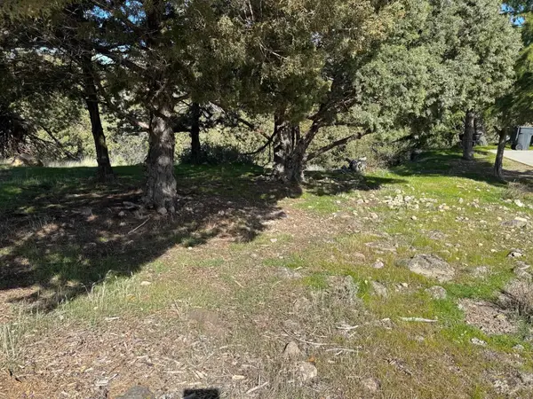 Unit 9-2Lot 137 Elk Ridge, Weed, CA 96094