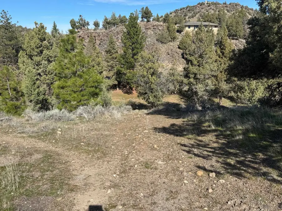 Unit 9-2Lot 137 Elk Ridge, Weed, CA 96094 - #3