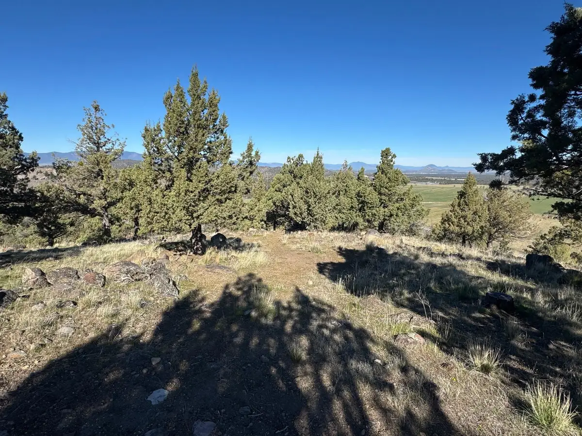 Unit 3 Lot 103 Juniper Peak, Weed, CA 96094 - #1
