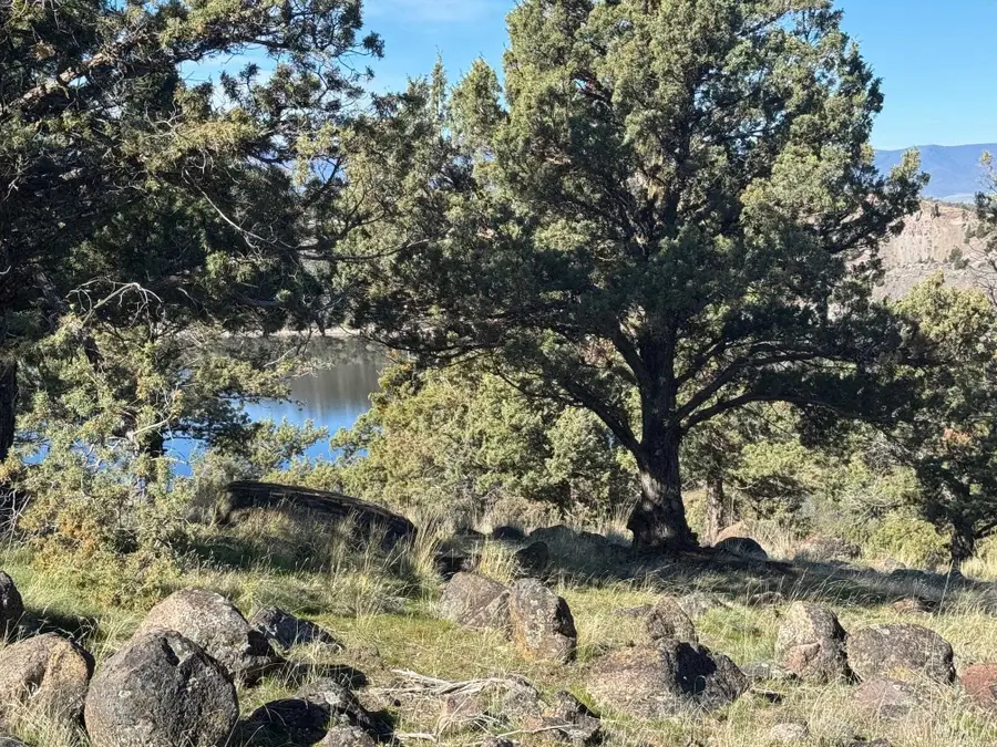 Unit 3 Lot 103 Juniper Peak, Weed, CA 96094 - #3