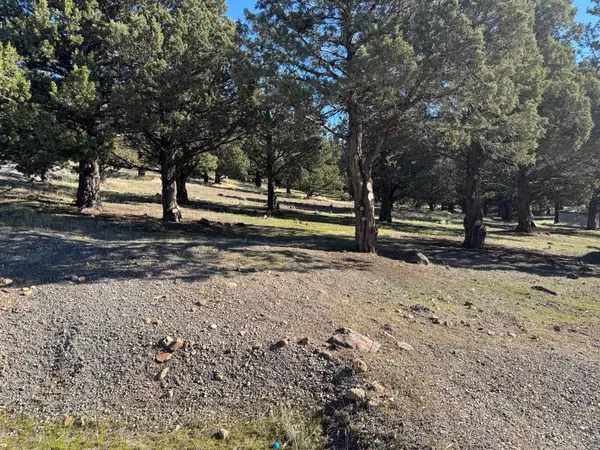 Unit 4 Lot 621 Wampum Way, Weed, CA 96094