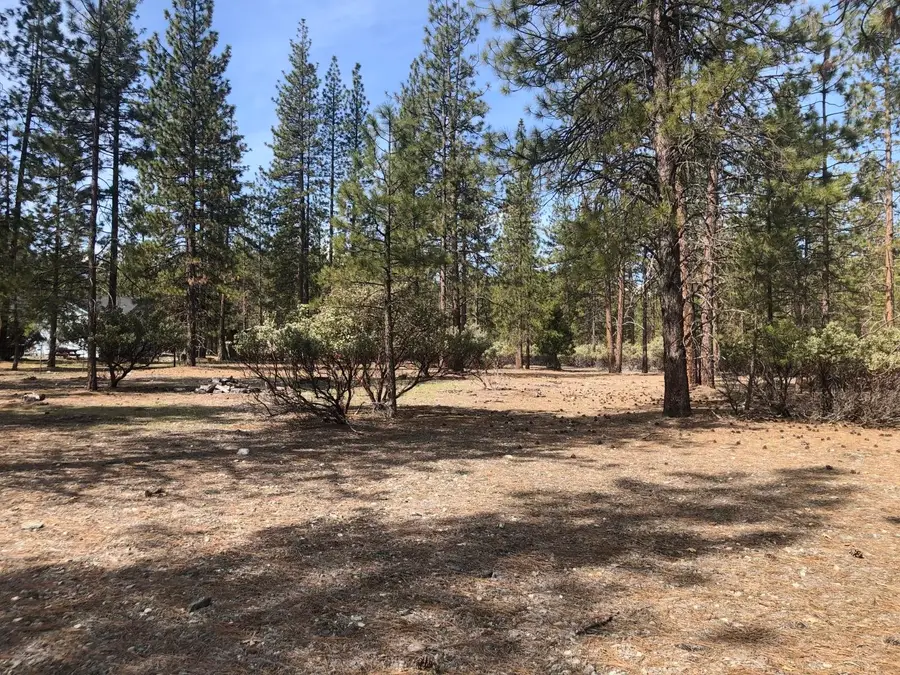 xxx Red Cedar Ct, Etna, CA 96027 - #3