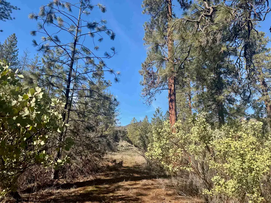 7 Miles out Klamath River Road, Yreka, CA 96097 - #3