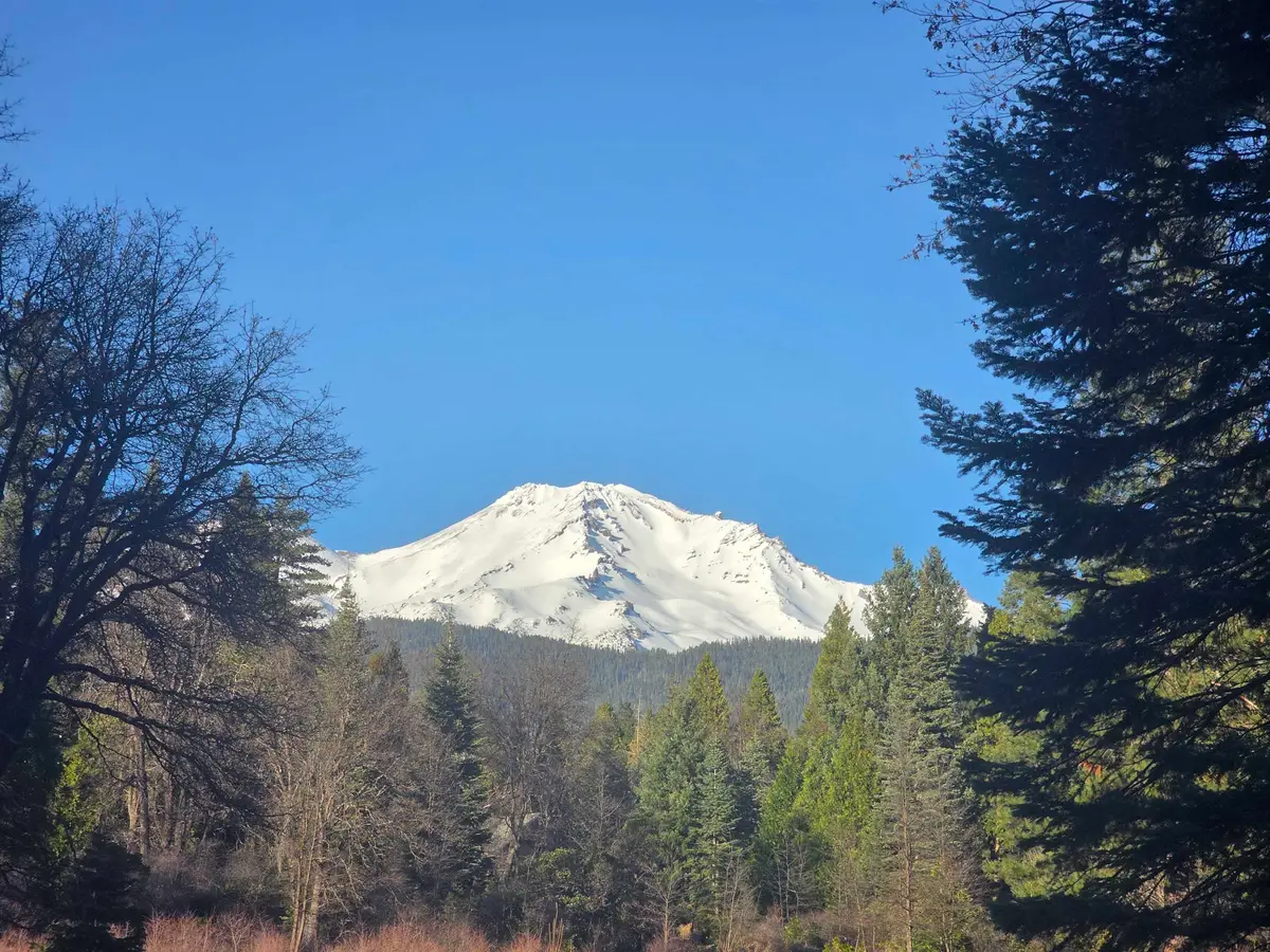 lot 15 Quail Hill Drive, Mount Shasta, CA 96067 - #1