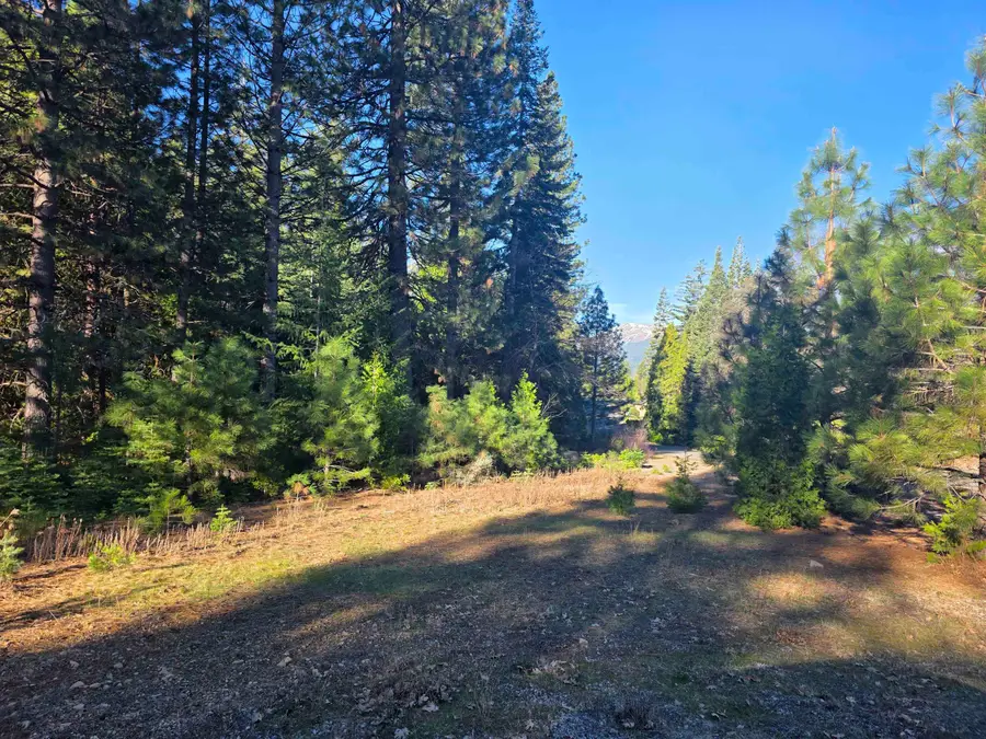 lot 15 Quail Hill Drive, Mount Shasta, CA 96067 - #3