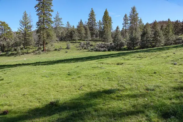 000 Scarface, Fort Jones, CA 96032