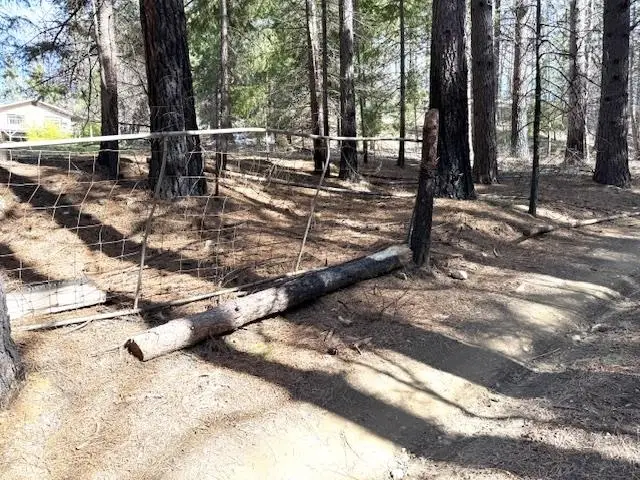 10015 Eliza Gulch Rd, Yreka, CA 96097 - #2