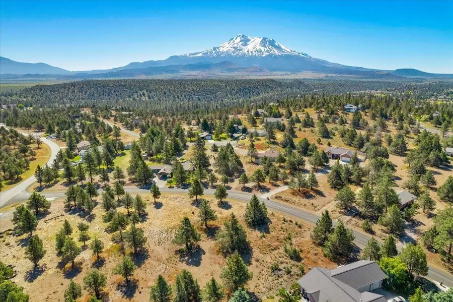 Lot 295 Mountain Wood, Weed, CA 96094 - #2