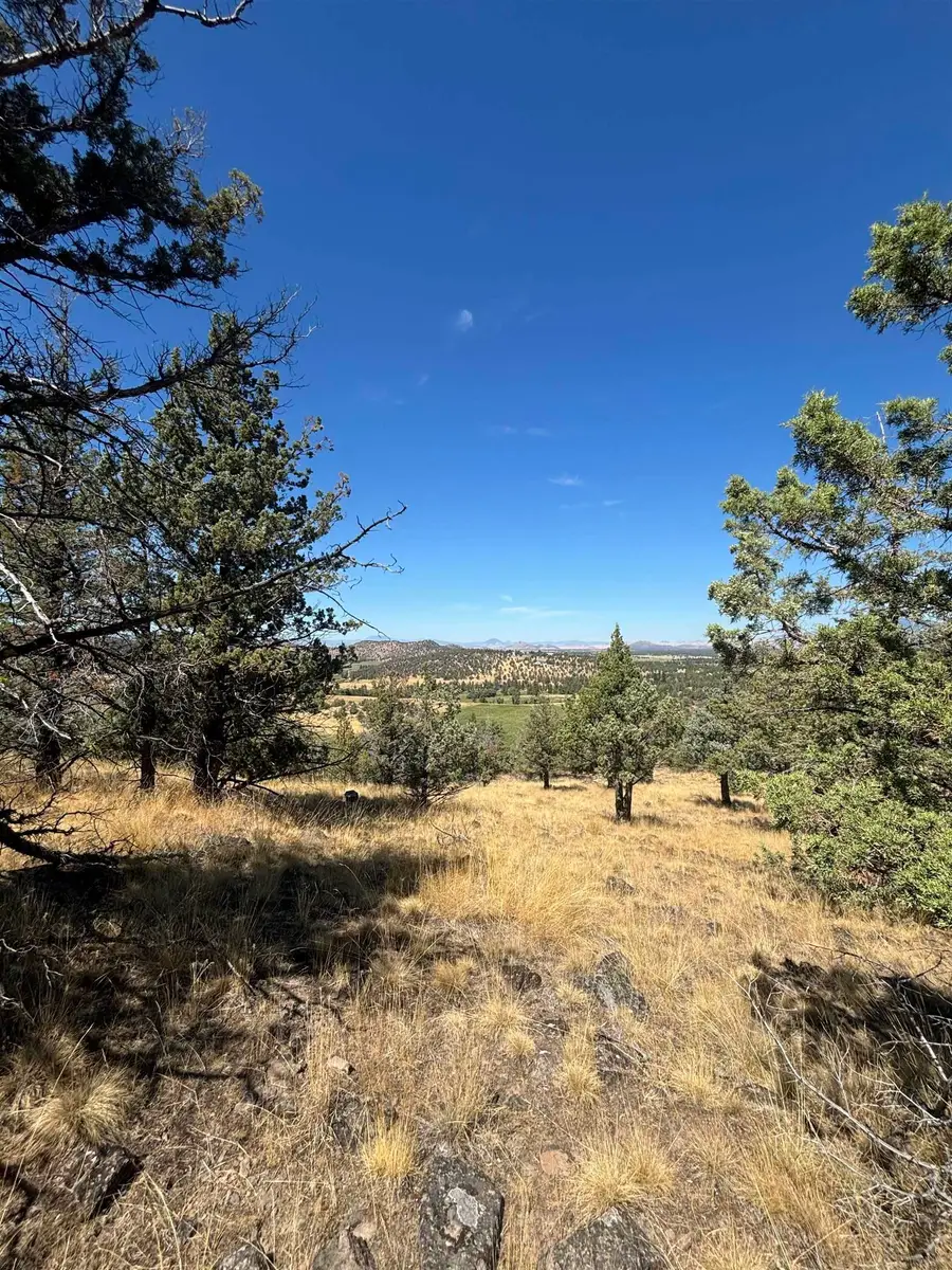 Lot 295 Mountain Wood, Weed, CA 96094 - #3