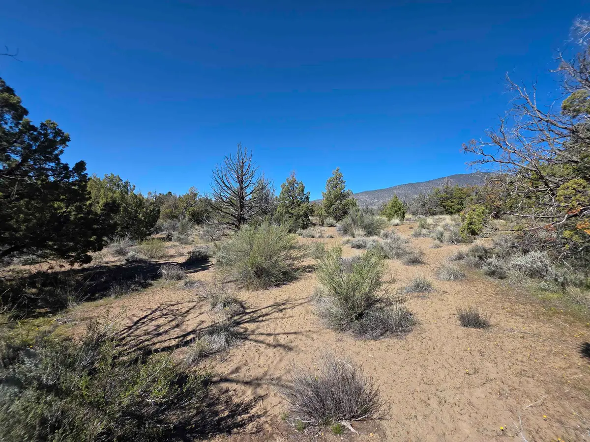 Blk 8 Lot 38 Karina Dr, Montague, CA 96064 - #1