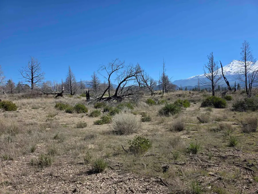 Blk 43 Lot 34 Heinzelman Dr., Montague, CA 96064 - #2