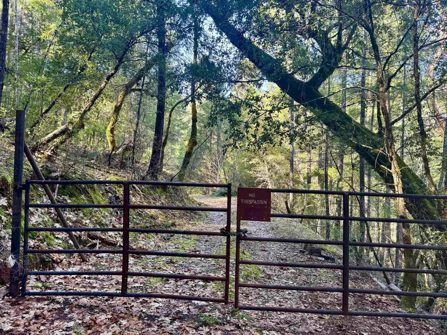 20 acres out 16N01 forest road, Happy Camp, CA 96039 - #2