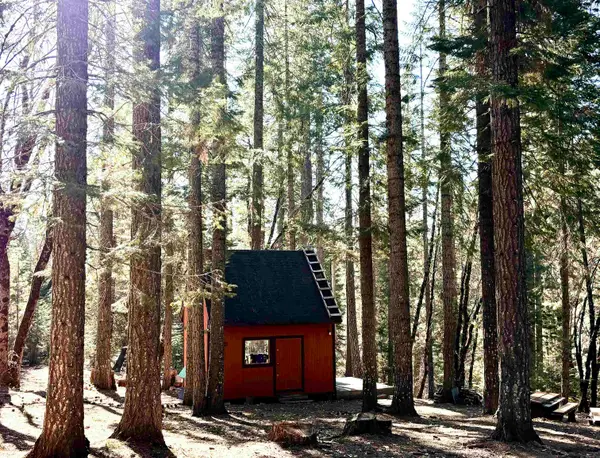 3-E-27 & 30 Red Fir, McCloud, CA 96057