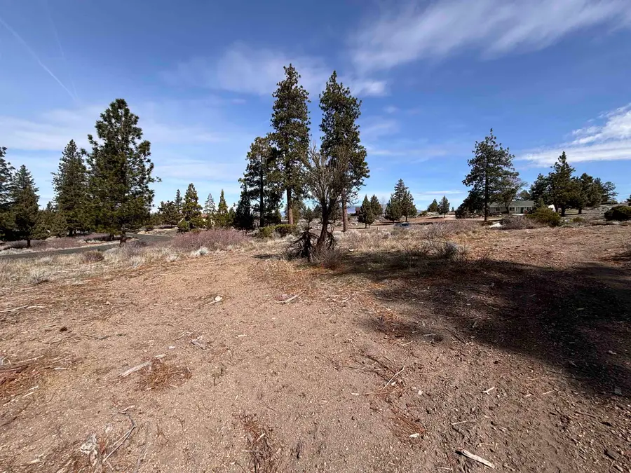 Lot 177 Fox Ct, Weed, CA 96094 - #3