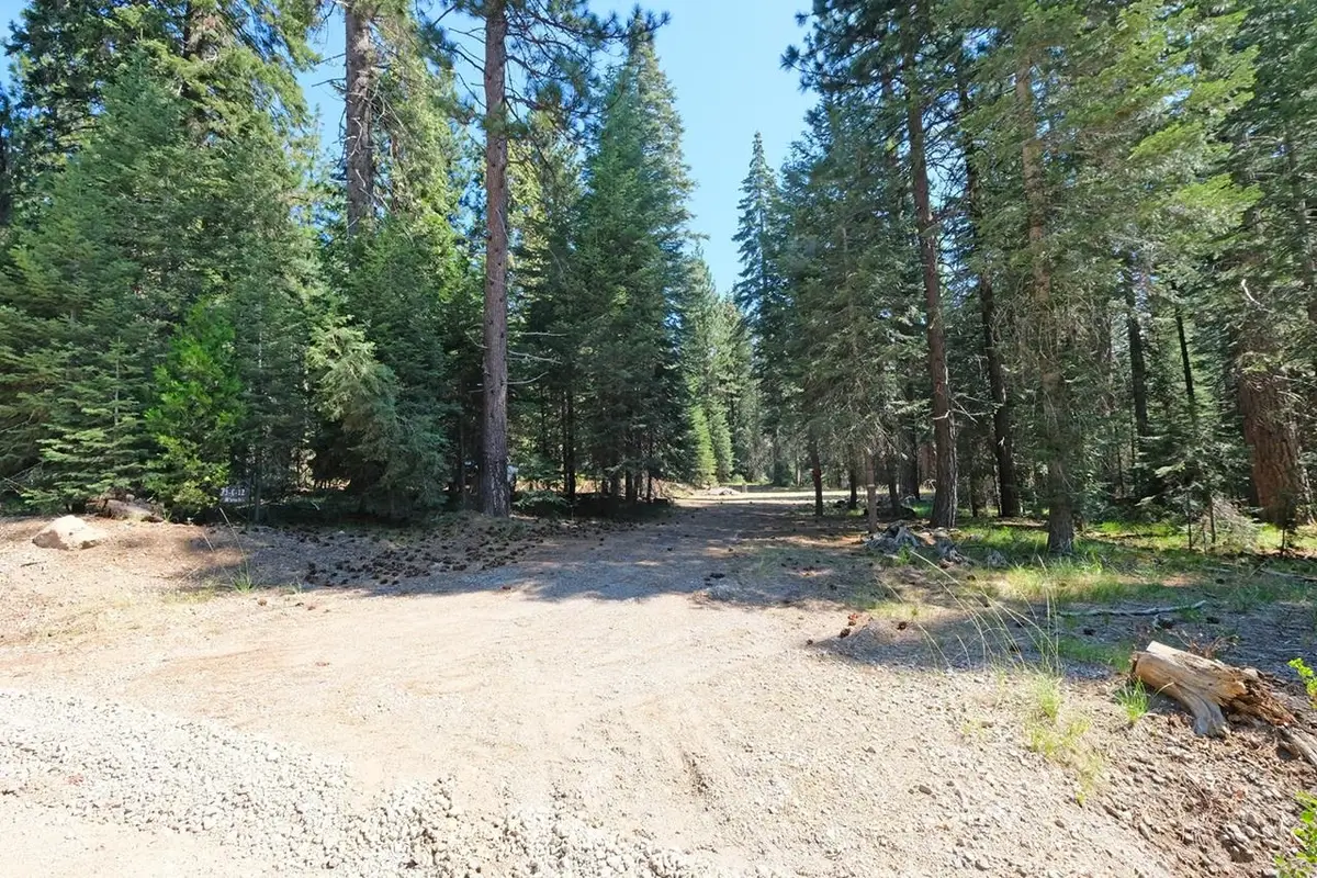 Lot 3-G-12 Elk Springs Dr, McCloud, CA 96057 - #1