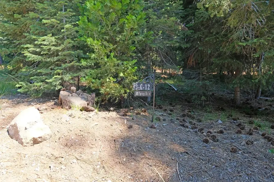 Lot 3-G-12 Elk Springs Dr, McCloud, CA 96057 - #2