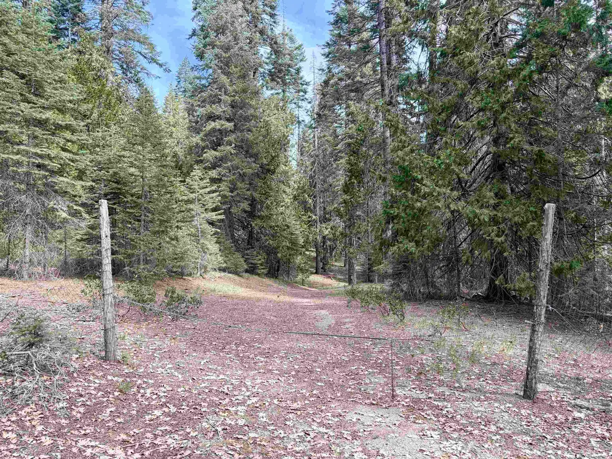 Ut 3 Bk I Lt 8 Mt. Shasta Dr., McCloud, CA 96057 - #1