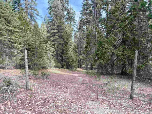 Ut 3 Bk I Lt 8 Mt. Shasta Dr., McCloud, CA 96057