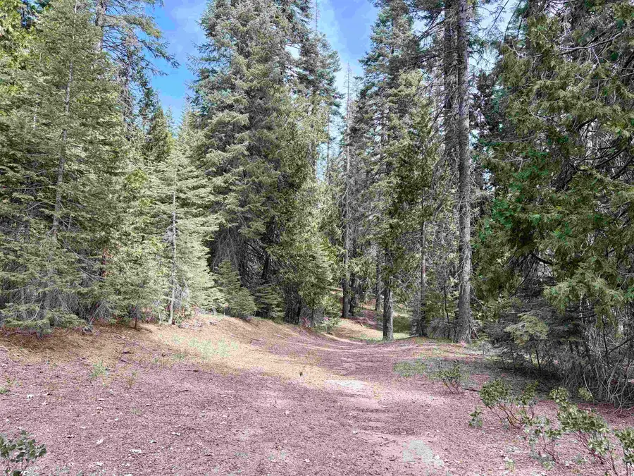 Ut 3 Bk I Lt 8 Mt. Shasta Dr., McCloud, CA 96057 - #2