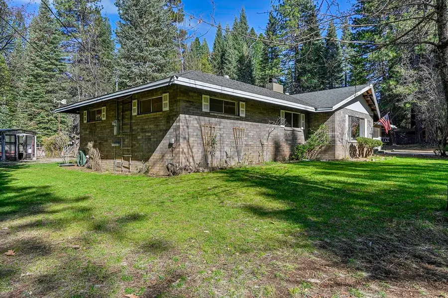 604 Papoose Ln, McCloud, CA 96057 - #3