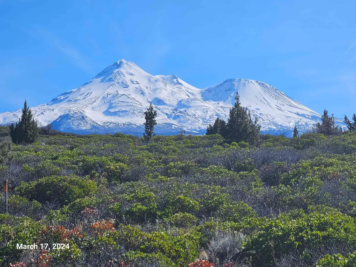 NSA Hwy 97 Near Sheep Rock, Montague, CA 96064 - #1
