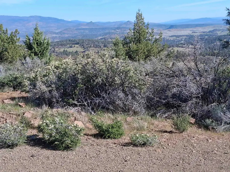 Lot 301 Eel Unit 4, Hornbrook, CA 96044 - #2