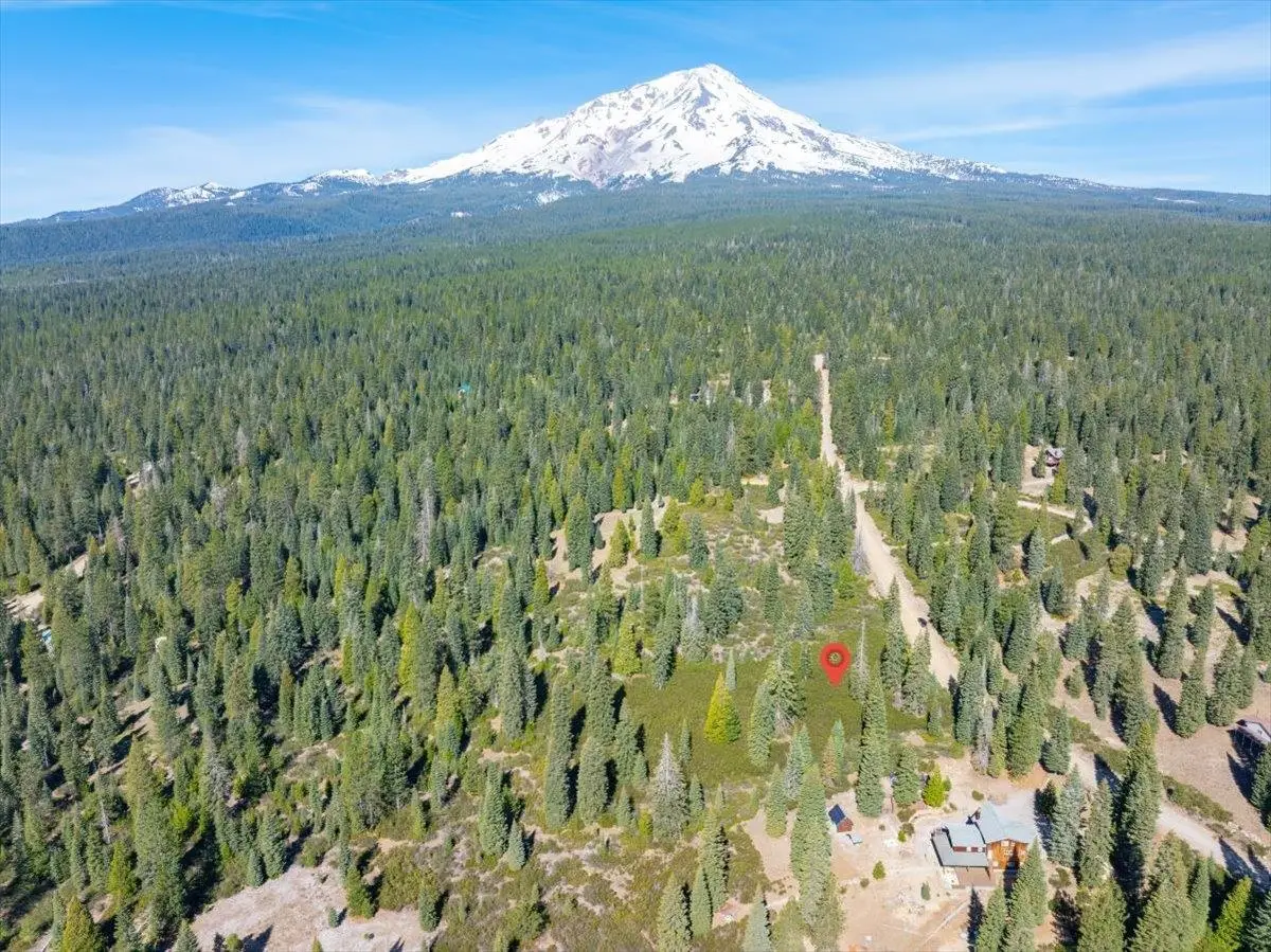 4-E-18 Ridge Dr, McCloud, CA 96057 - #1