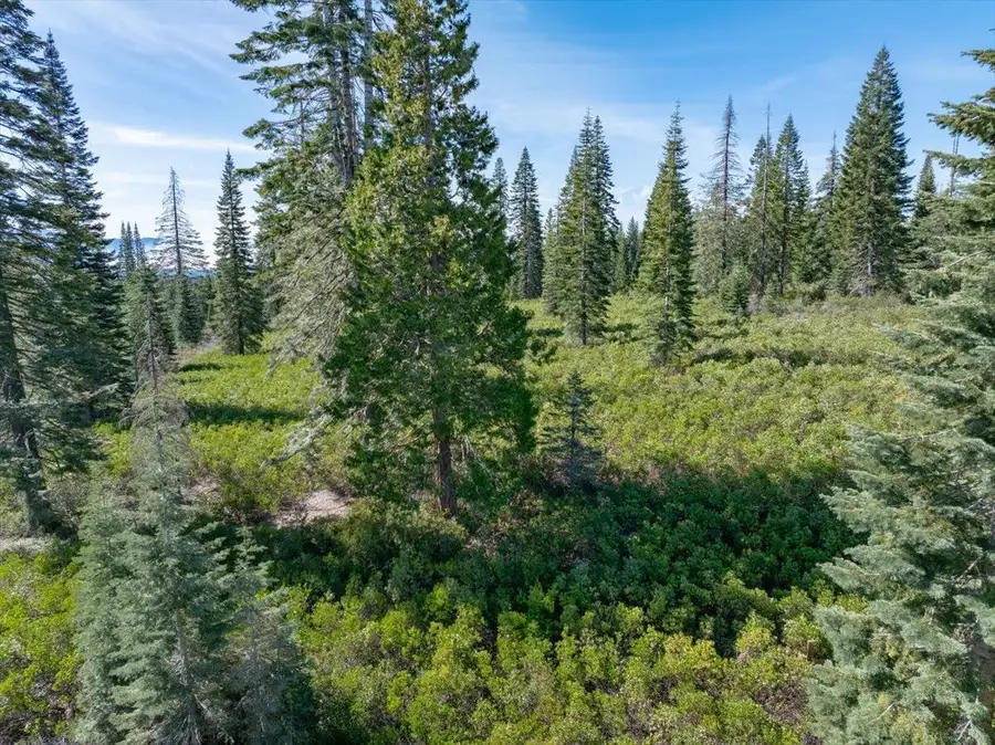 4-E-18 Ridge Dr, McCloud, CA 96057 - #3