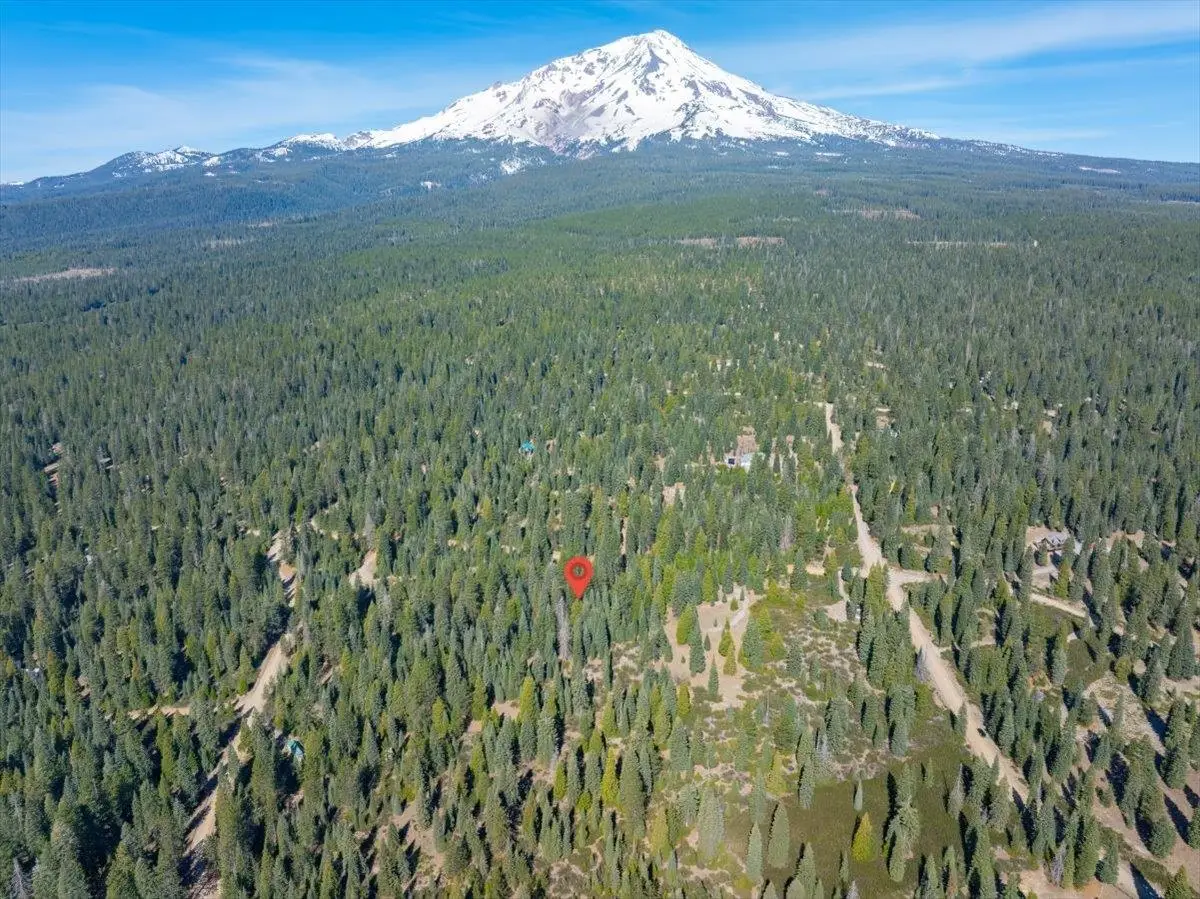 4-E-15 Esperanza Way, McCloud, CA 96057 - #1