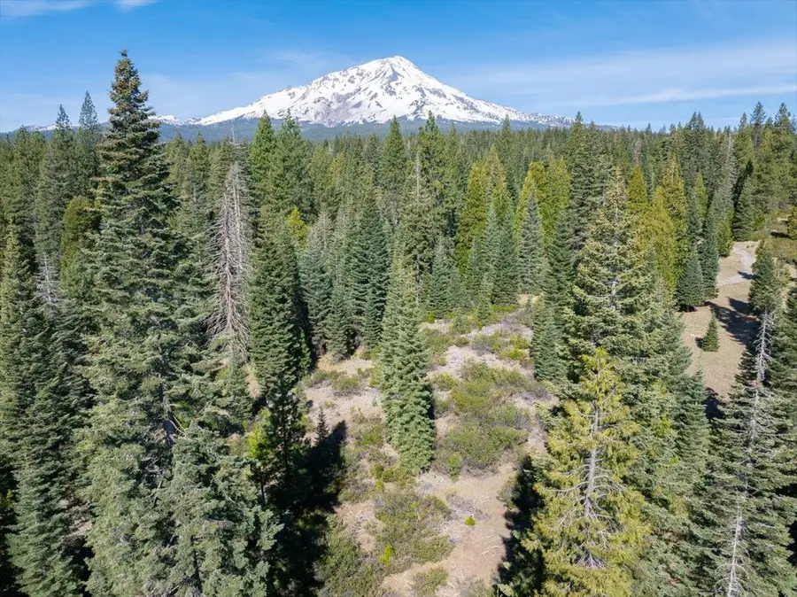 4-E-15 Esperanza Way, McCloud, CA 96057 - #3