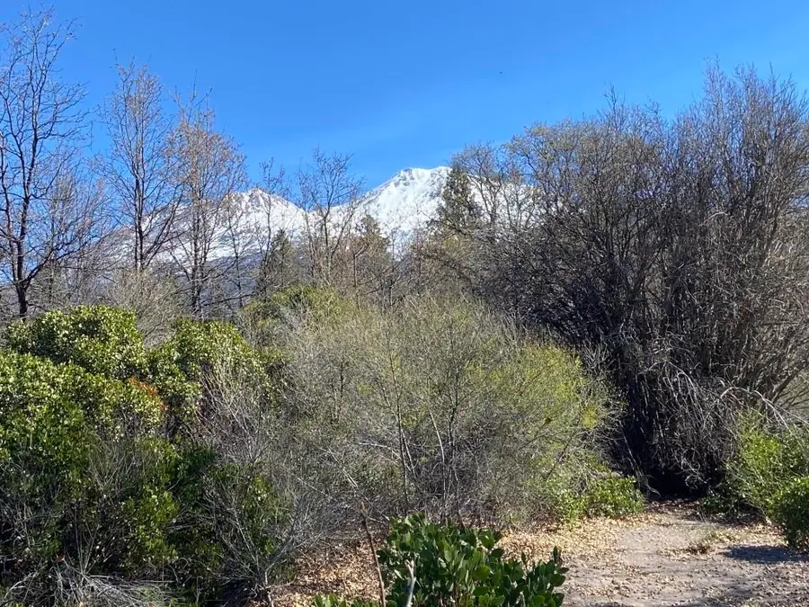 Lot 36 North Ridge Ct, Mount Shasta, CA 96067 - #2
