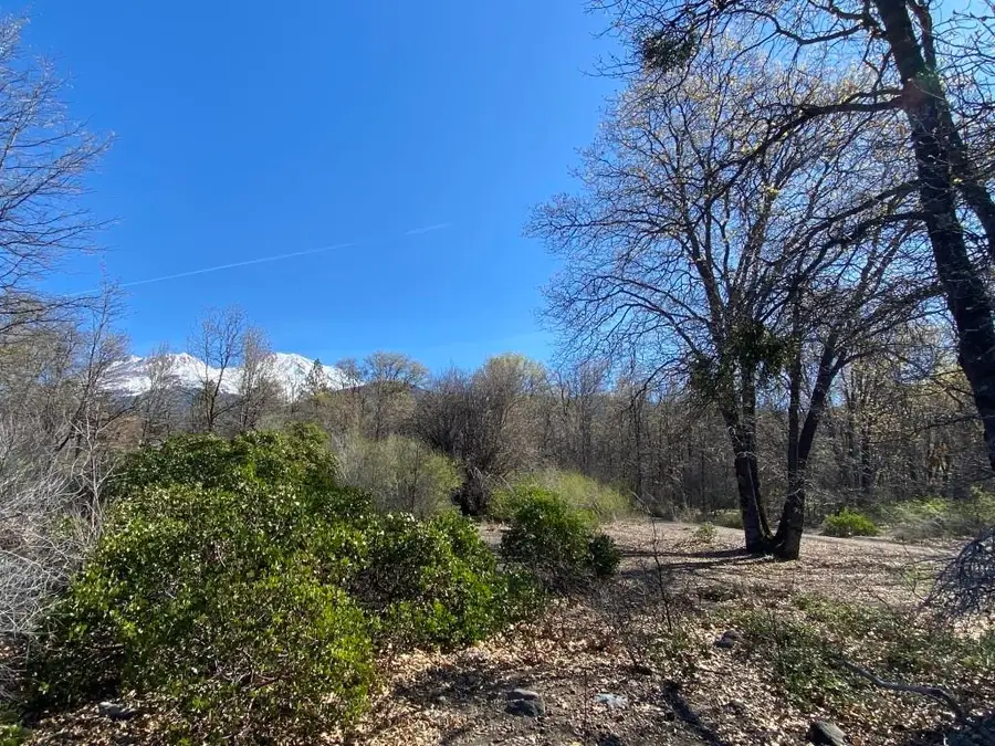 Lot 36 North Ridge Ct, Mount Shasta, CA 96067 - #3