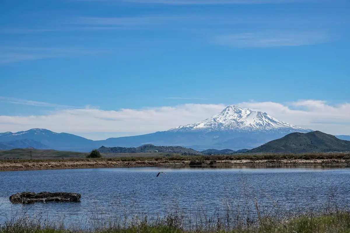 0 Yreka Ager Rd, Yreka, CA 96097 - #1