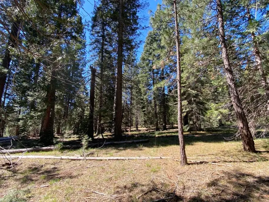 1-H-8 Glacier Dr, McCloud, CA 96057 - #2