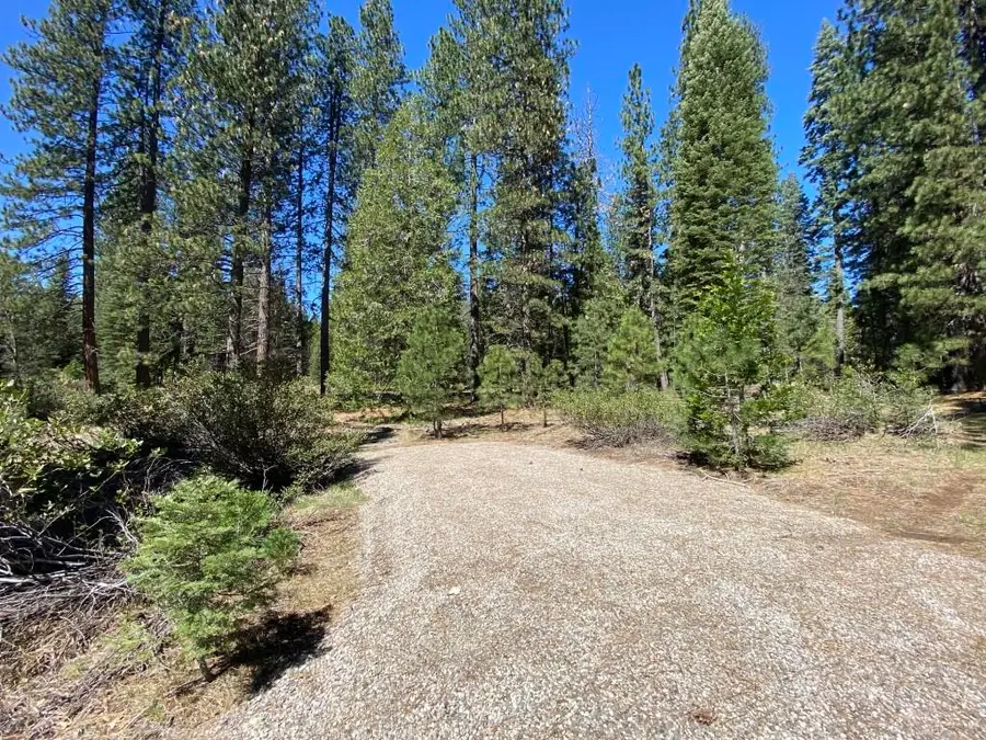 1-H-8 Glacier Dr, McCloud, CA 96057 - #3