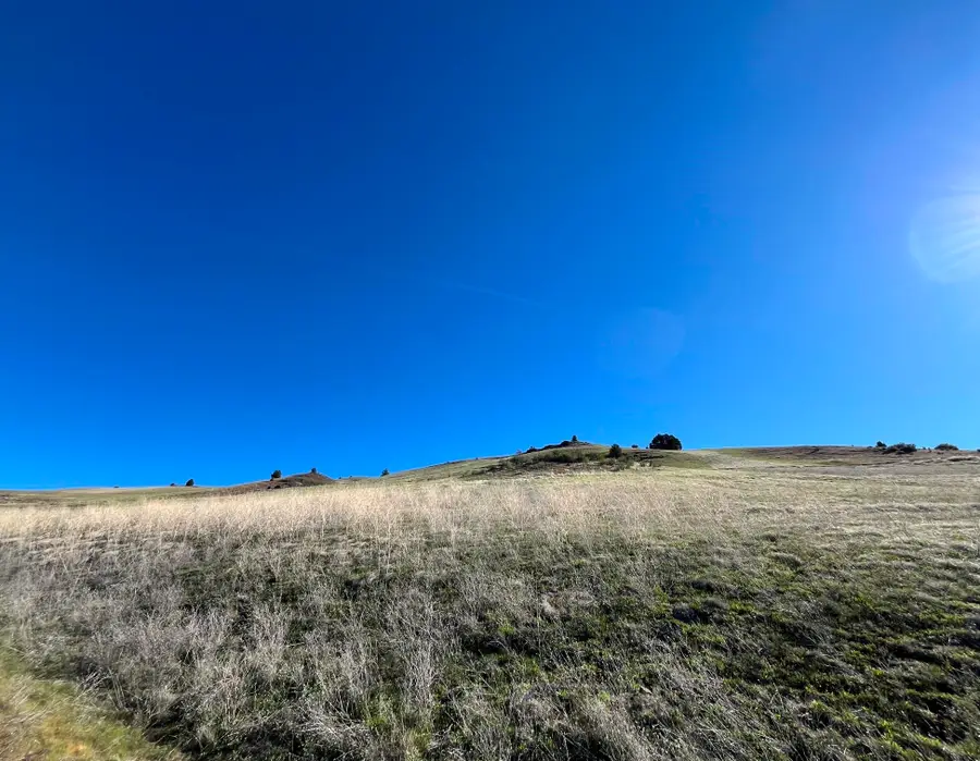 15654 Lake Side Ln, Hornbrook, CA 96044 - #2