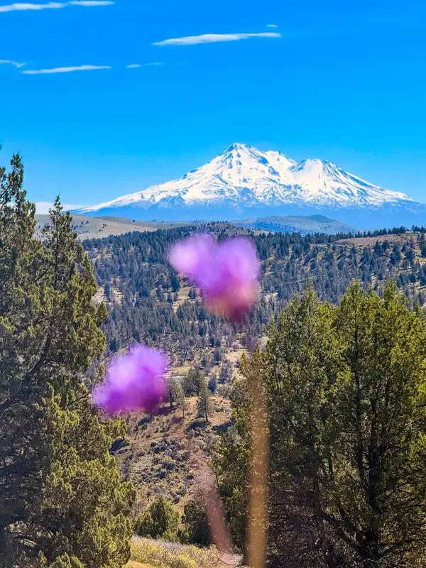 6611 Erick ln, Montague, CA 96064