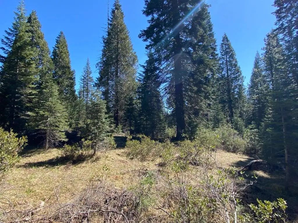 3-E-7 Mt Shasta Dr, McCloud, CA 96057 - #1