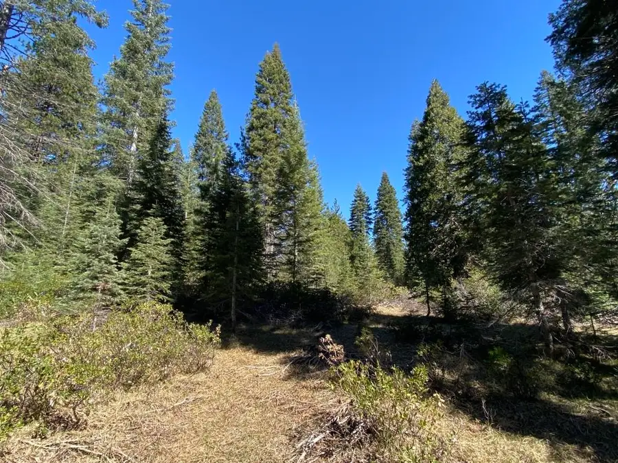 3-E-7 Mt Shasta Dr, McCloud, CA 96057 - #2