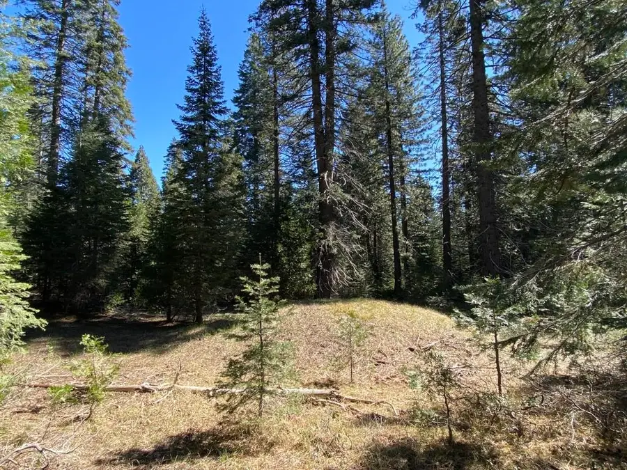 3-E-7 Mt Shasta Dr, McCloud, CA 96057 - #3