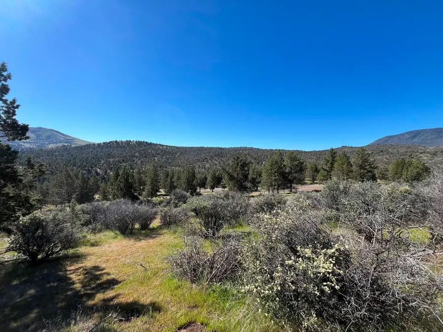 Lot 523 Blue Gill Dr, Hornbrook, CA 96044 - #3