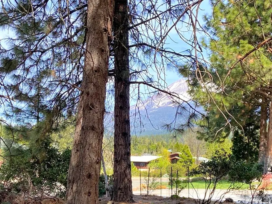 Lot 26 Siskiyou Lake Blvd, Mount Shasta, CA 96067 - #3